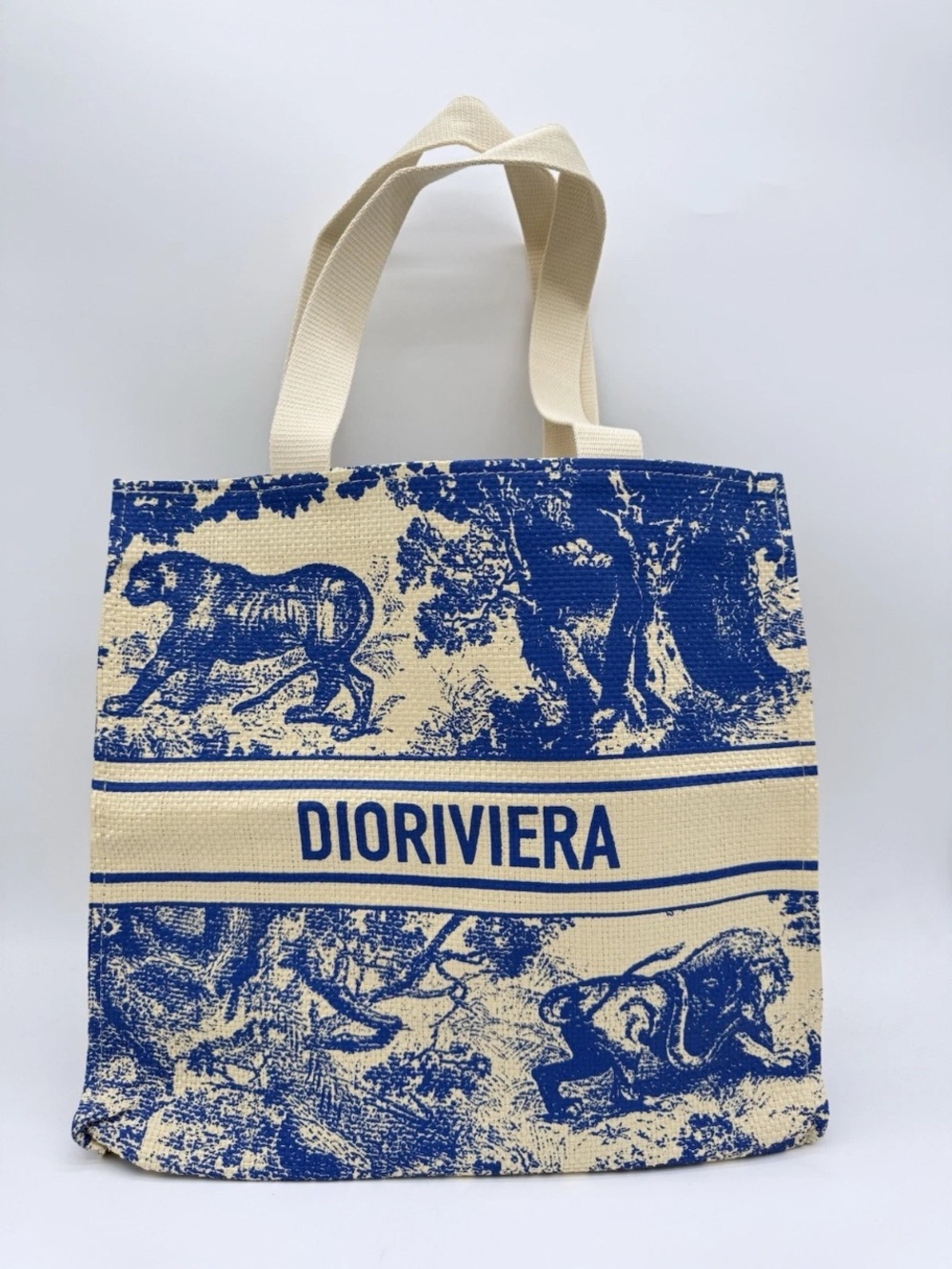 Christian Dior Canvas Tote Bag in Blue and Cream